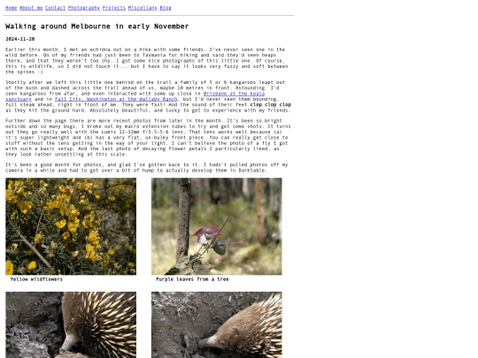 blog/2024-11-16-early-november-walking-around screenshot