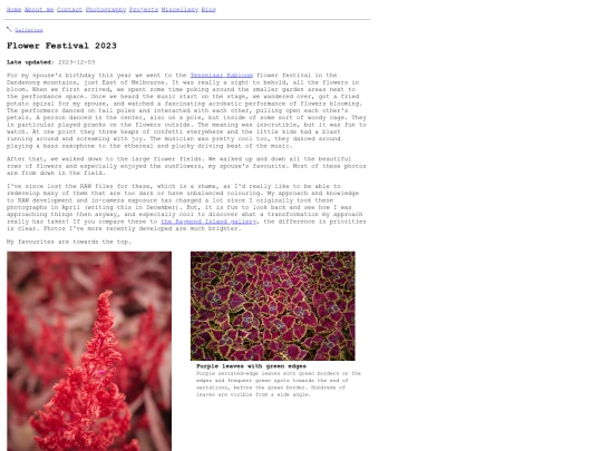 photography/galleries/flower-festival-2023 screenshot