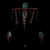 Puparium avatar