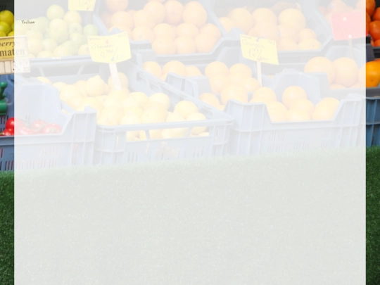 projects screenshot