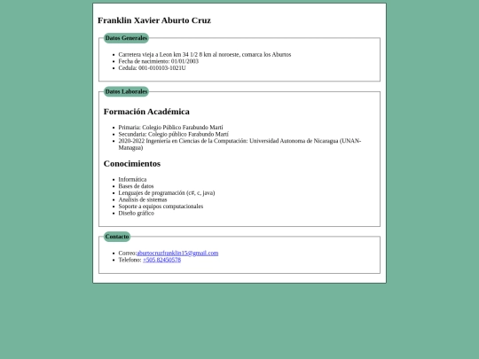 Curriculum Vitae screenshot
