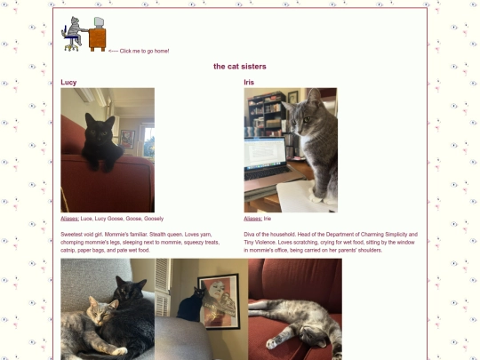 catzone screenshot
