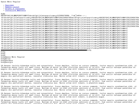webfontkit-20221125-055929/spacemono-regular-demo screenshot