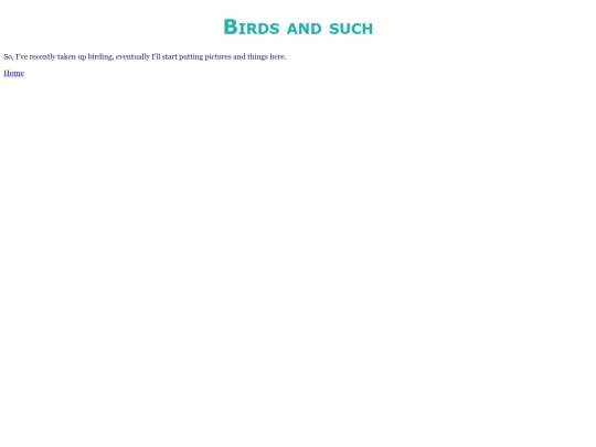 birds screenshot