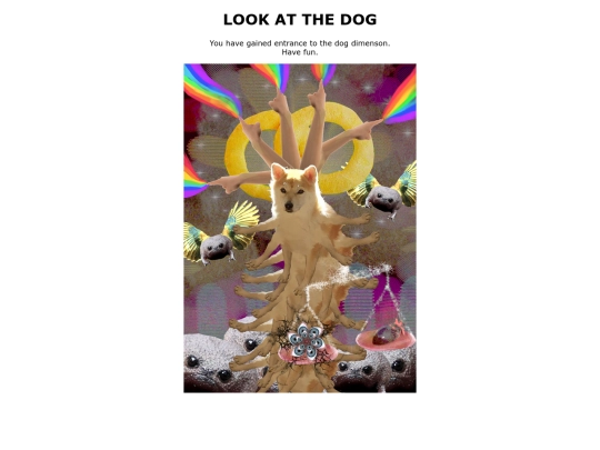 doge screenshot