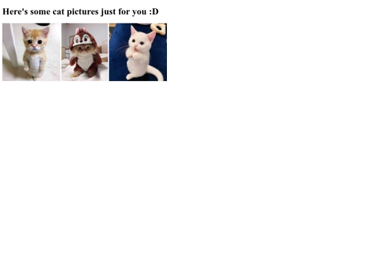 catpics screenshot