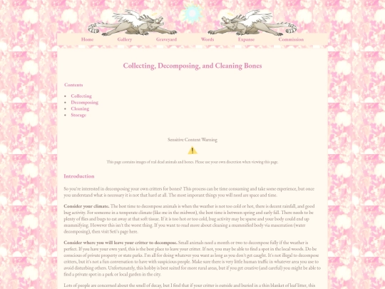 bonecleaning screenshot