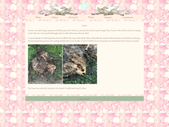 cloverpossum screenshot