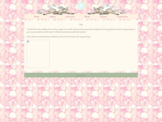 lilaraccooon screenshot
