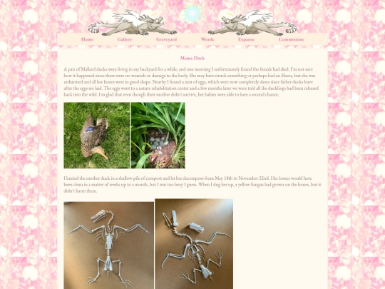 mamaduck screenshot