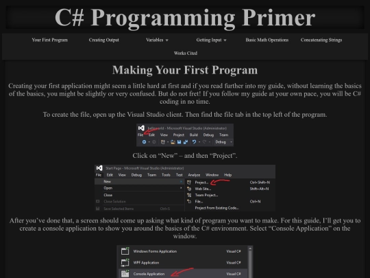 program screenshot