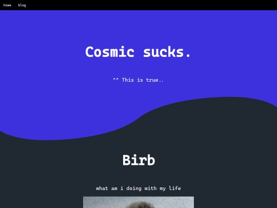 testing/curves2 screenshot