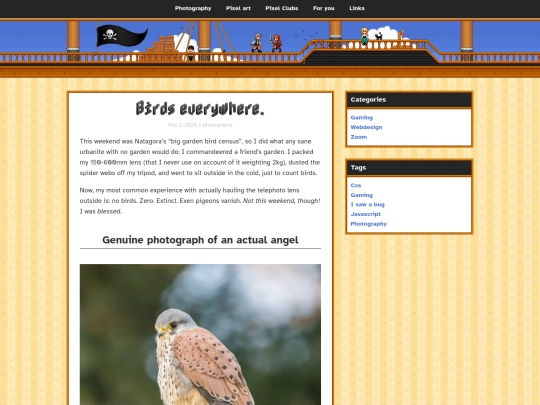 2025/02/02/city-birding screenshot