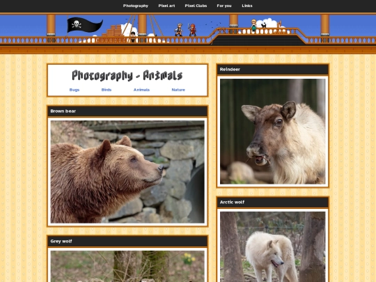 photography/animals screenshot