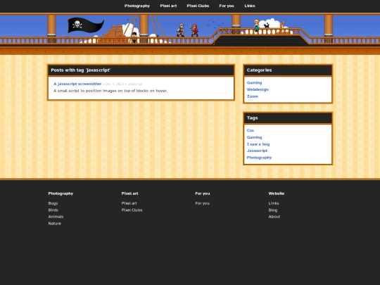 tag/javascript screenshot