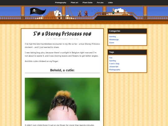 zoom/2024/06/24/bumblebee-friend screenshot