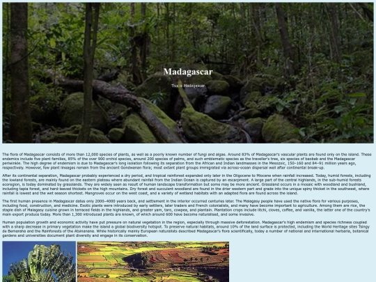 madagascar screenshot