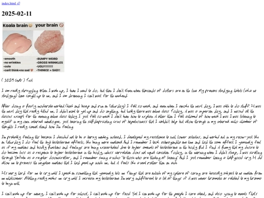 2025/02/11 screenshot