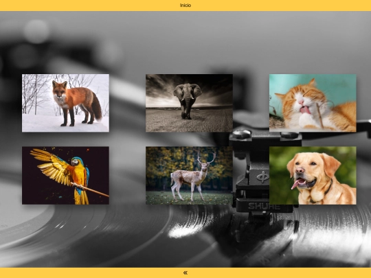 flashcard screenshot