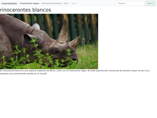 pag/rinocerontes blancos screenshot