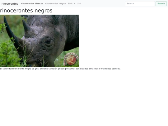 pag/rinocerontes negros screenshot