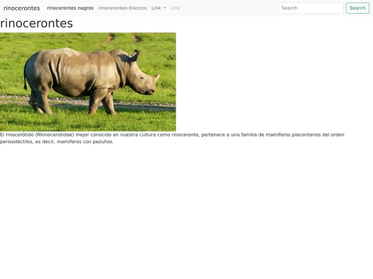 pag/rinocerontes screenshot