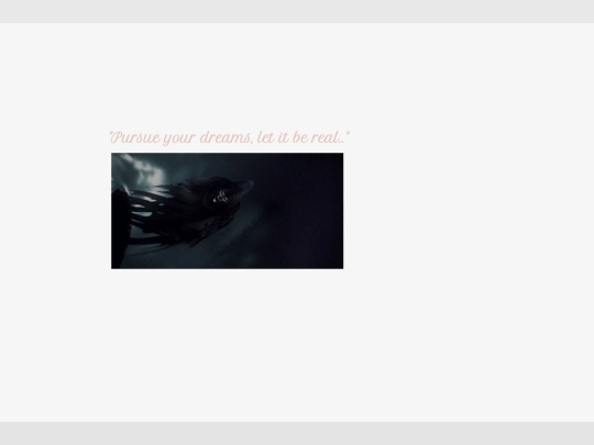 constantia1234 screenshot
