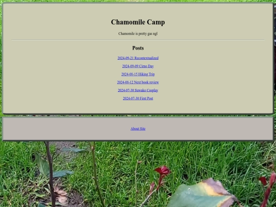 site1 screenshot
