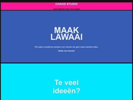 Drukke Website Opdracht screenshot