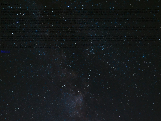 Duck screenshot