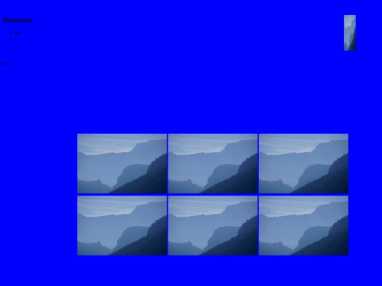 memotest12511 screenshot