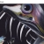 The web site of mokuzujiro avatar