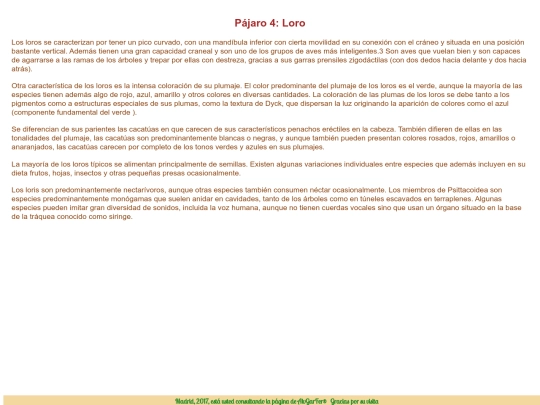 distintasWebs/WebPajaros/paginasInfo/pagLoro screenshot