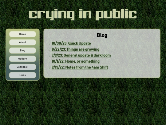 blog screenshot
