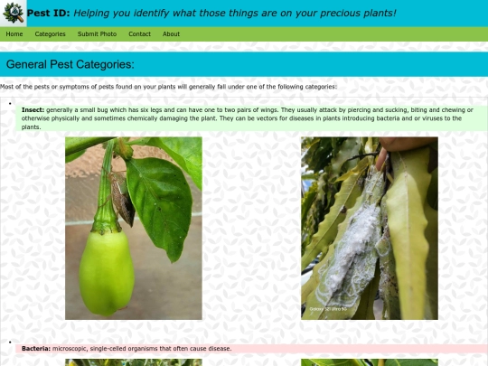 categories screenshot
