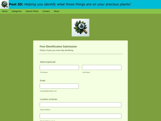 submission screenshot