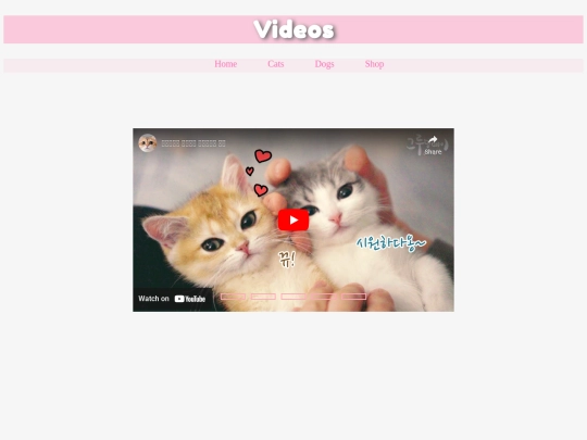 final/catcare screenshot