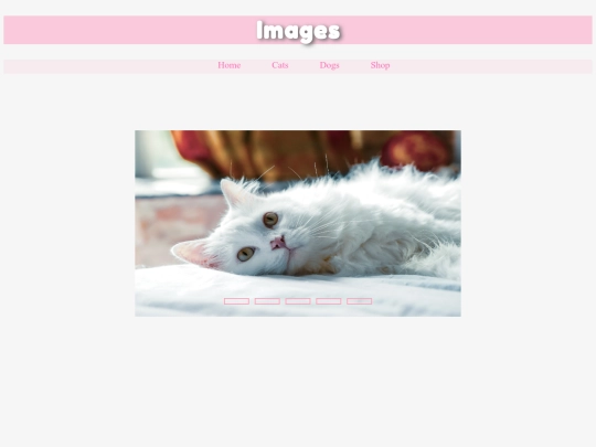 final/catvideos screenshot