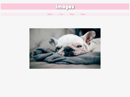 final/dogvideos screenshot