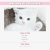 Cat Lovers avatar