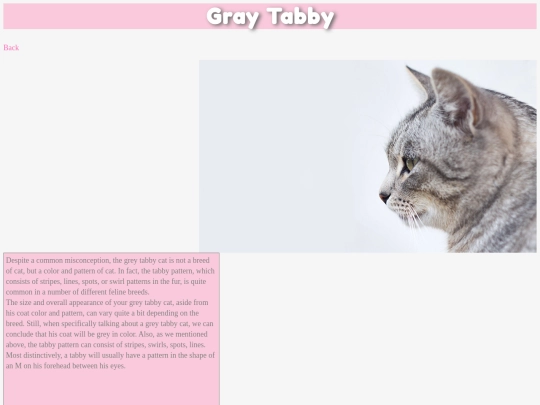 page1 screenshot