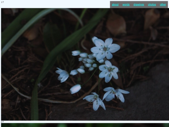 photos1 screenshot
