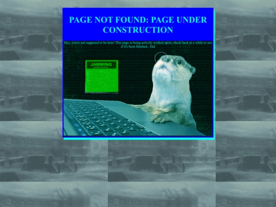 redirect screenshot