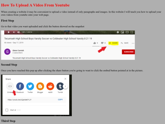 video/video screenshot