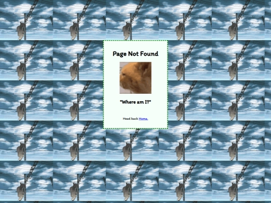 not_found screenshot