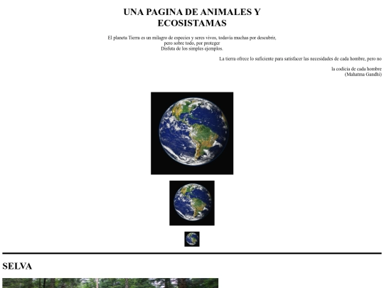  Prueva Practica 5/Practica5 screenshot