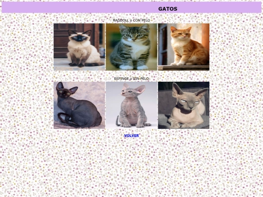 Proyecto/Hoja4projecto screenshot