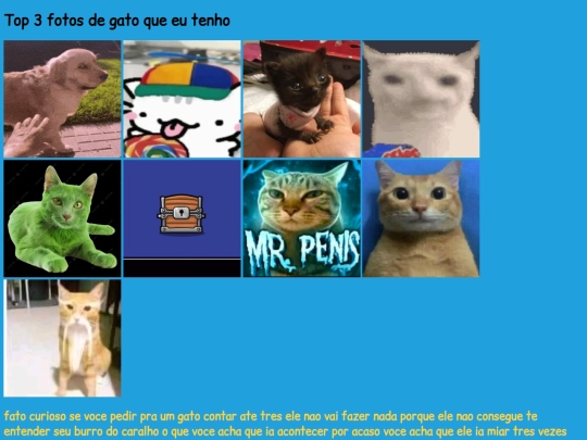 kitty screenshot