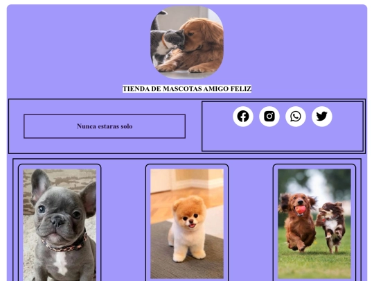 TallerReponsivo screenshot