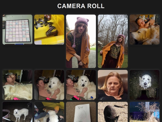 Cameraroll screenshot